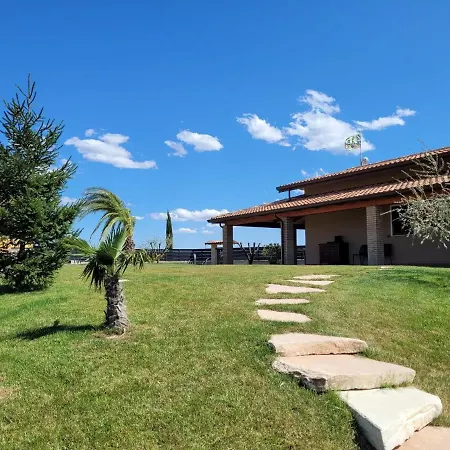 Moneti Villa Tavullia
